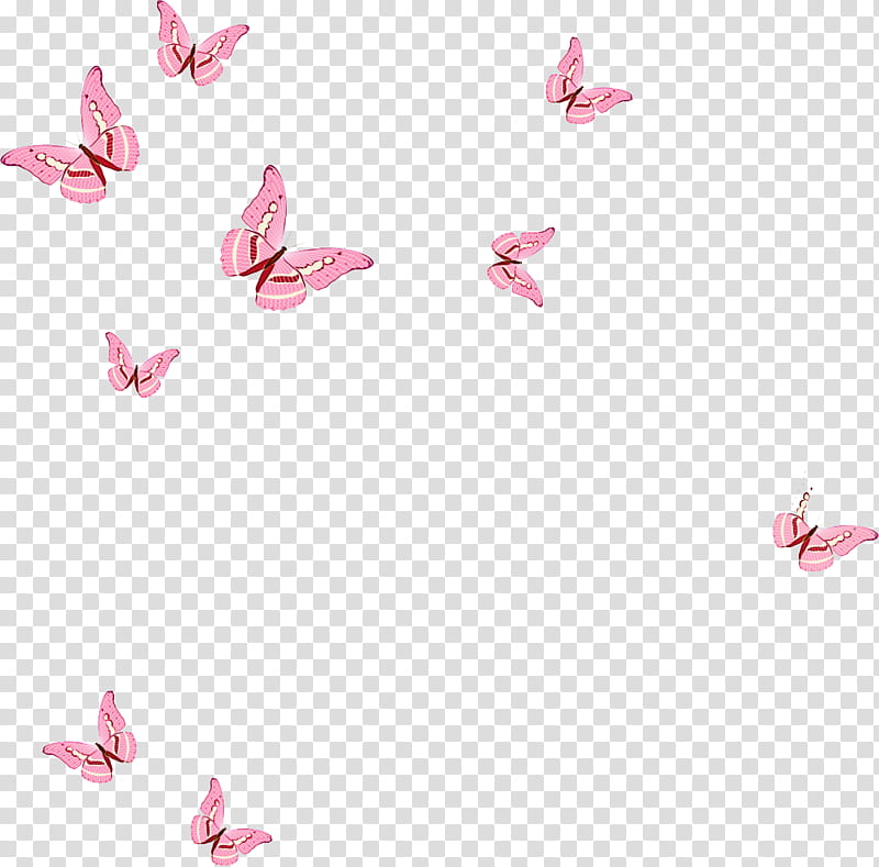butterflies borboleta transformation pink, Euclidean Space, Creativity, Logo transparent background PNG clipart
