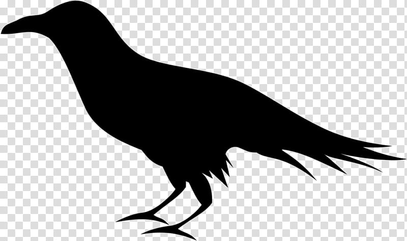 Bird Silhouette, Common Raven, Crow, Drawing, Sticker, Beak, Crowlike Bird transparent background PNG clipart