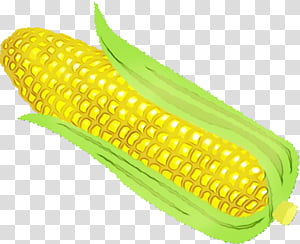 corn on the cob commodity kitchen mail order 泡立ちクロススポンジ 大判サイズ 不思議な スポンジ クロス 食器 プラスチック製品 シリコン容器 キッチン 食器 洗い 台所 ふきん, Watercolor, Paint, Wet Ink, Sponge, Rakuten, Comparison Shopping Website, Tableware transparent background PNG clipart thumbnail