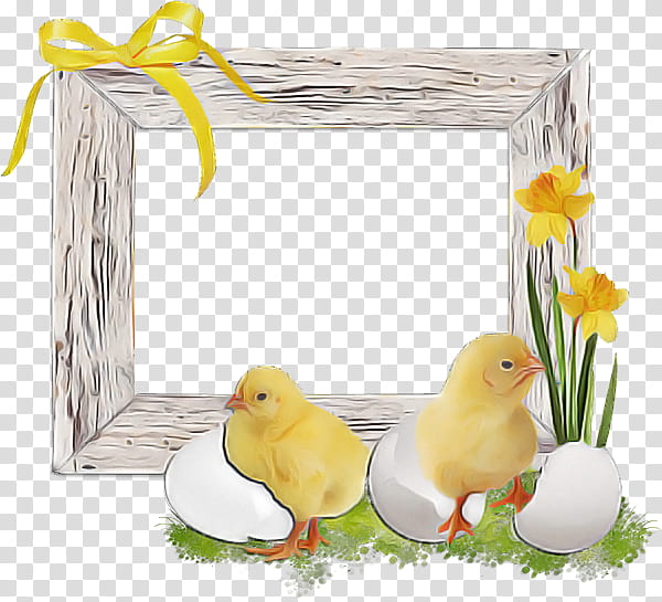 frame, Yellow, Atlantic Canary, Bird, Songbird, Easter
, Perching Bird, Frame transparent background PNG clipart