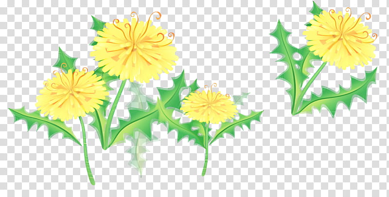 Floral design, Dandelion, Chrysanthemum, Plant Stem, Dahlia, Roman Chamomile, Pot Marigold, Yellow transparent background PNG clipart