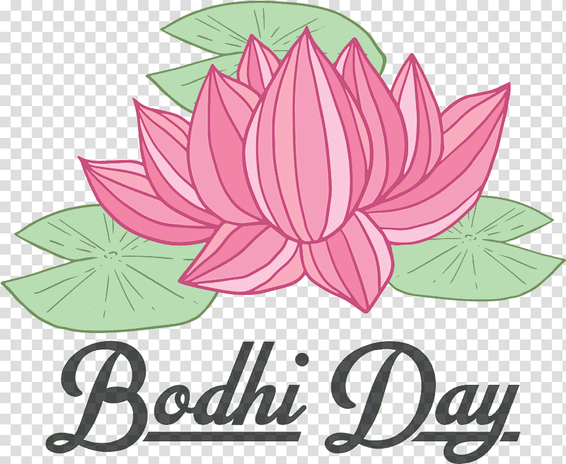 bodhi day bodhi, Idea, Hug, bucket Inc, Sunday, Floral Design, Buona Domenica transparent background PNG clipart