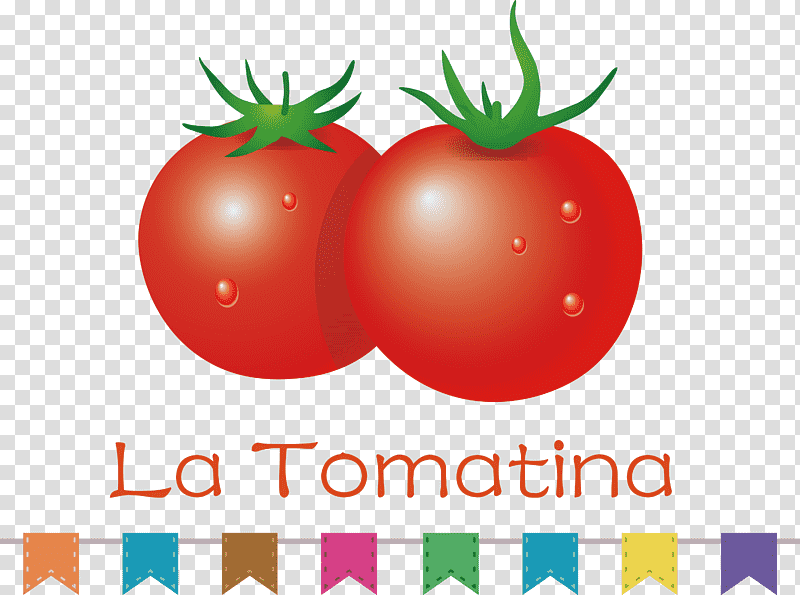 La Tomatina Tomato Throwing Festival, Natural Food, Bush Tomato, Superfood, Local Food, Datterino Tomato, Plant transparent background PNG clipart