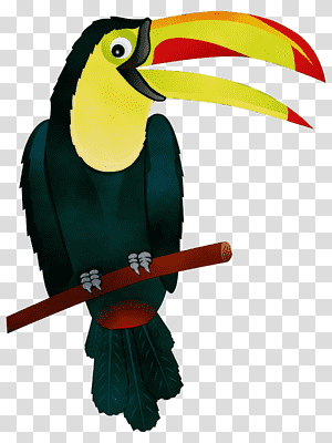 Bear, Club Penguin, Club Penguin Elite Penguin Force, Club Penguin Island,  Herbert P Bear, Bird, Toucan, Cartoon png