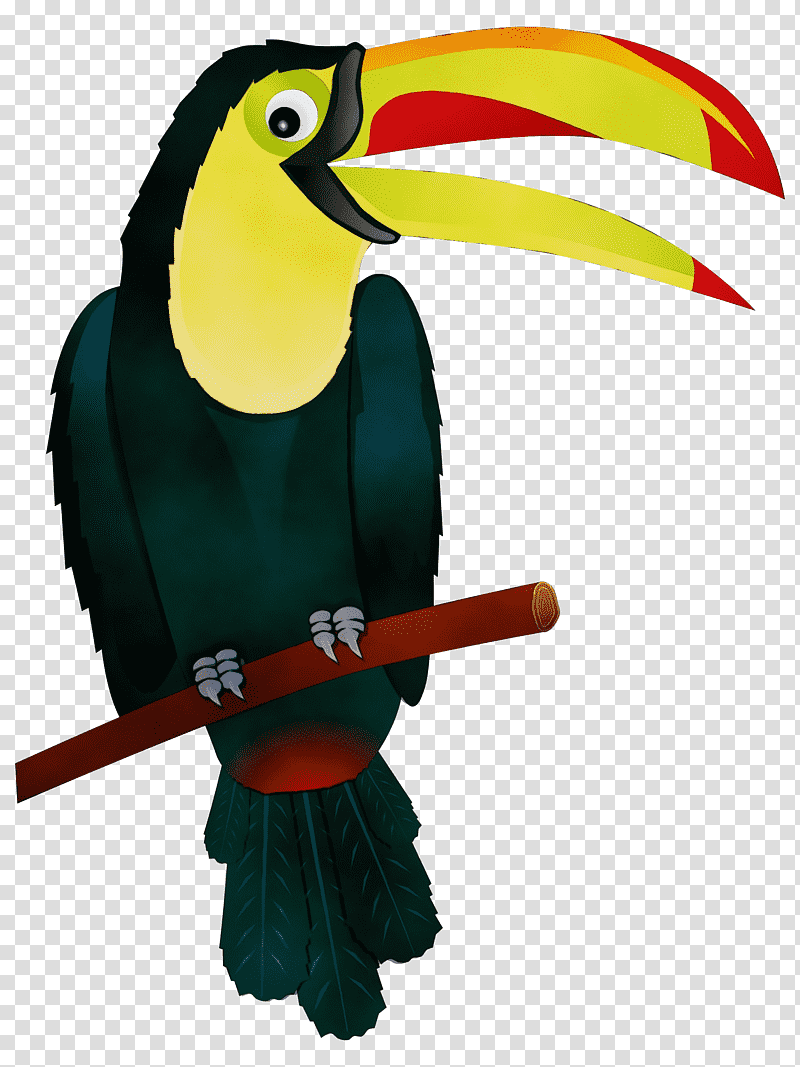 toucans piciformes hornbill beak macaw, Watercolor, Paint, Wet Ink, Wing, Biology, Science transparent background PNG clipart
