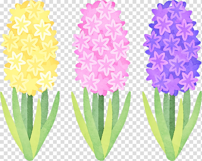 Flower bouquet, Hyacinth, Cut Flowers, Floral Design, Petal, Pink Flowers, Plant Stem, Daffodil transparent background PNG clipart