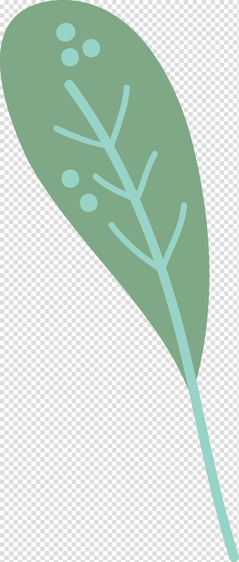 leaf font teal line meter, Leaf Cartoon, Leaf , Leaf Abstract, Biology, Plant Structure, Plants, Science transparent background PNG clipart