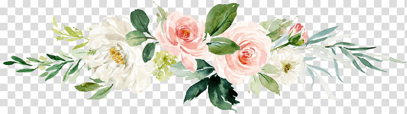 Garden roses, Flower, Cut Flowers, Plant, Pink, Rose Family, Petal, Rose Order transparent background PNG clipart