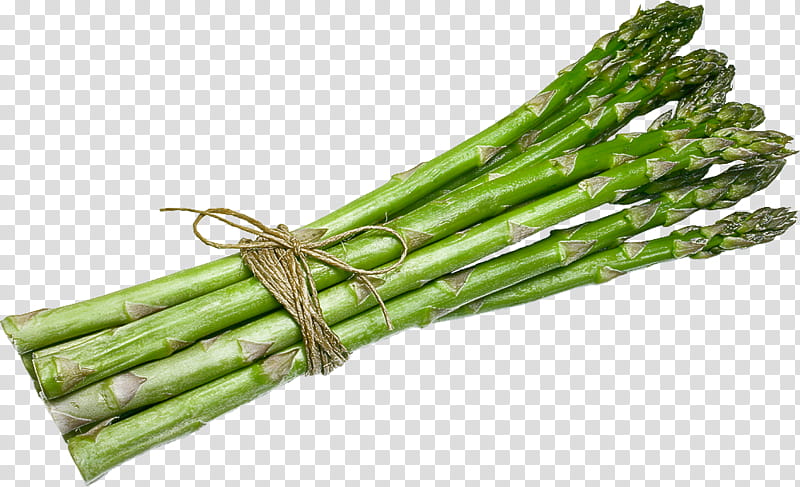 vegetable asparagus plant food asparagus, Plant Stem transparent background PNG clipart