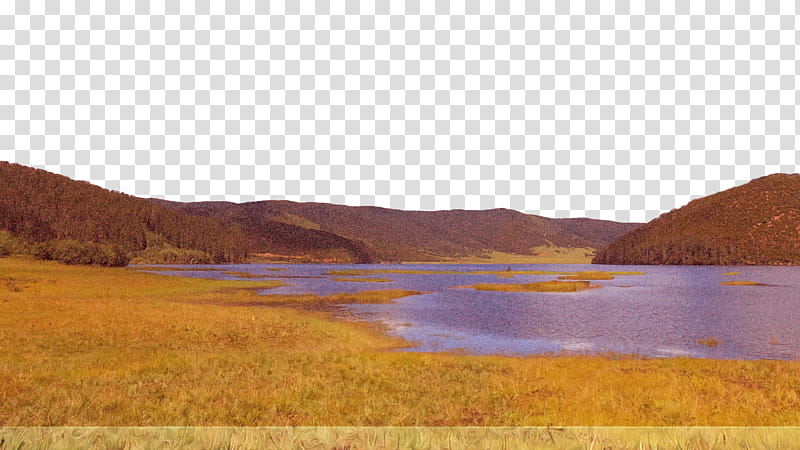 ecoregion lough tundra inlet grasses transparent background PNG clipart
