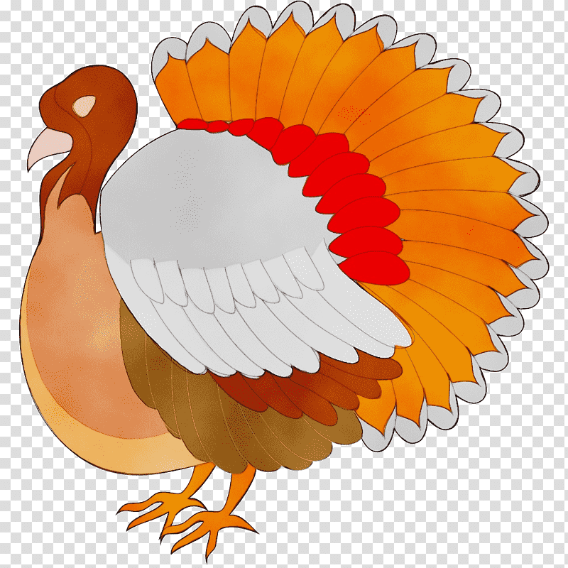 Dinosaur, Watercolor, Paint, Wet Ink, Landfowl, Domestic Turkey, Wild Turkey transparent background PNG clipart