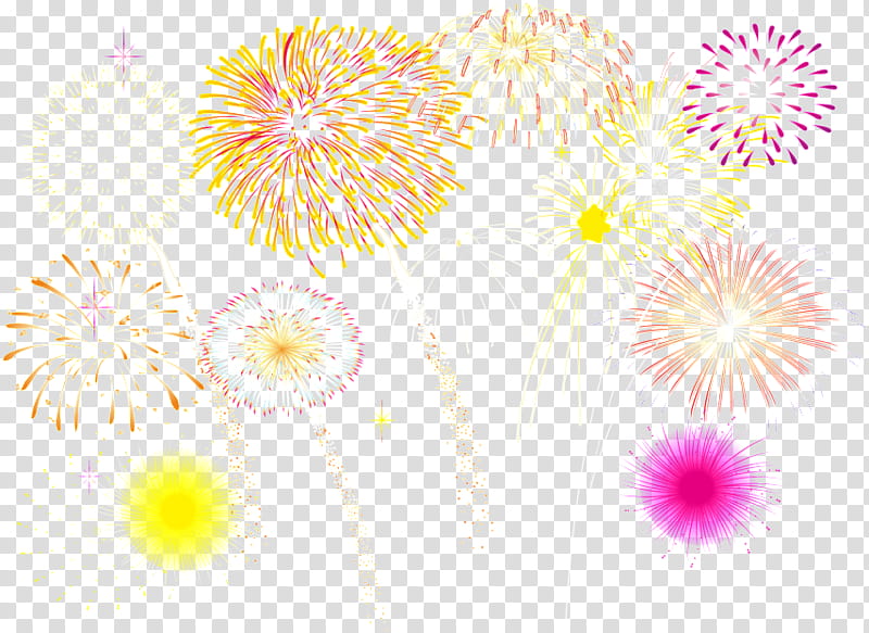 yellow flower fireworks plant pattern, Dandelion, Wildflower transparent background PNG clipart