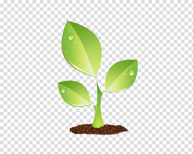 Plants, Seedling, Nursery, Germination, Sprouting, Bud, Leaf, Agriculture transparent background PNG clipart