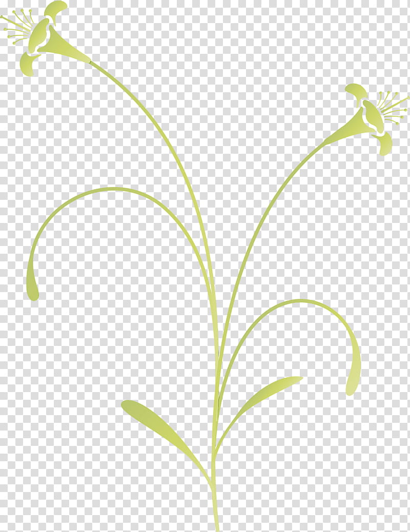 flower lily of the valley plant leaf pedicel, Easter Flower, Spring Flower, Watercolor, Paint, Wet Ink, Grass, Plant Stem transparent background PNG clipart