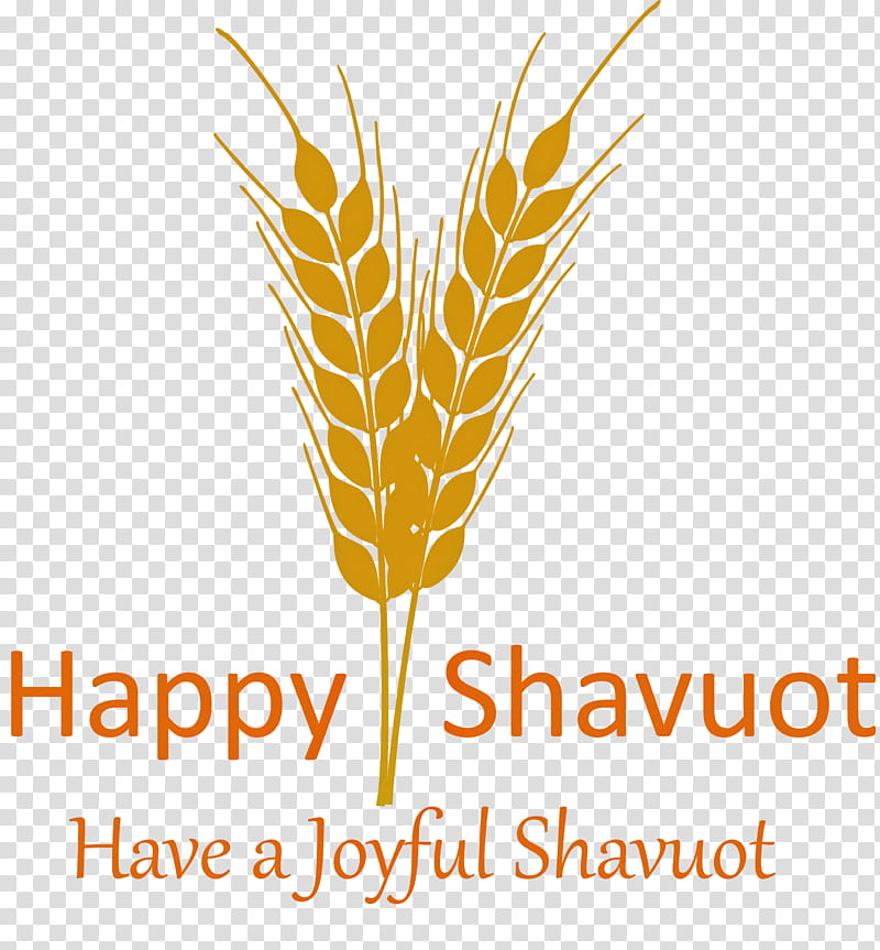 Happy Shavuot Shavuot Shovuos, Leaf, Grass Family, Logo, Line, Plant, Food Grain, Wheat transparent background PNG clipart