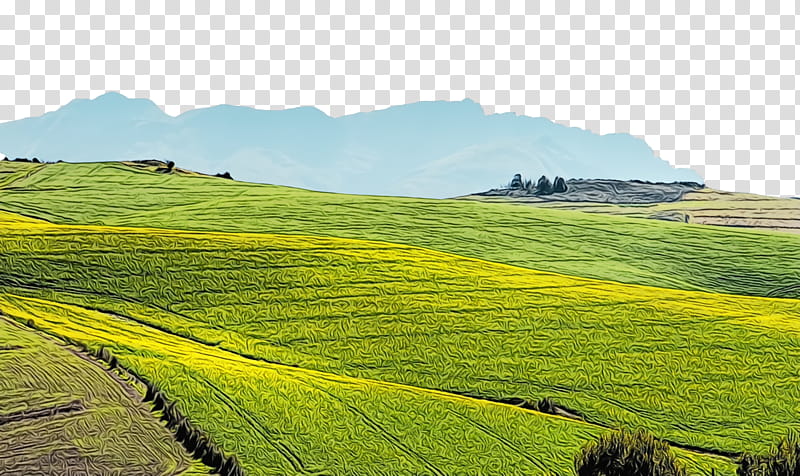 energy field biofuel learning hill, Watercolor, Paint, Wet Ink, Plain, English Language, Paddy Field, Crop transparent background PNG clipart