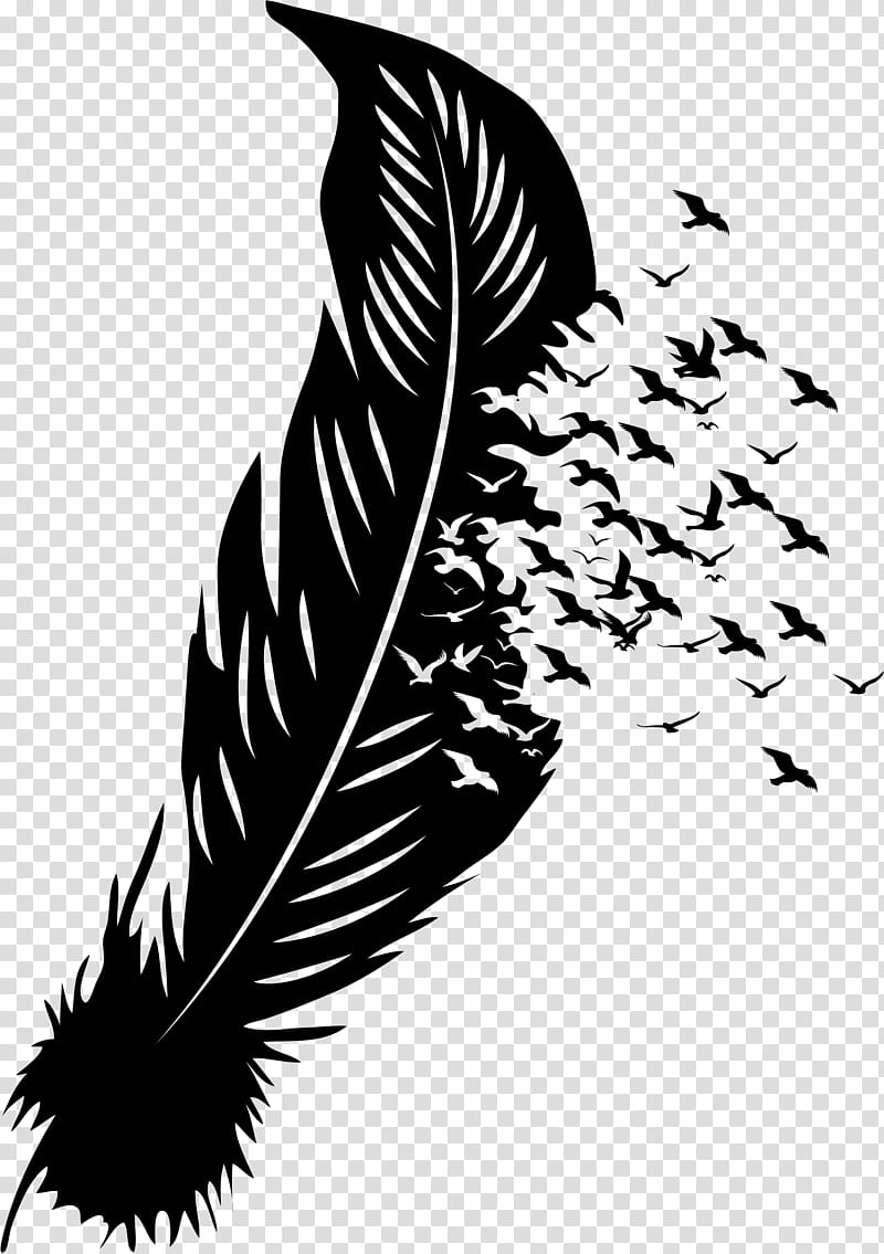 Feather, FEATHER BOA, Black And White
, Quill, Silhouette transparent background PNG clipart