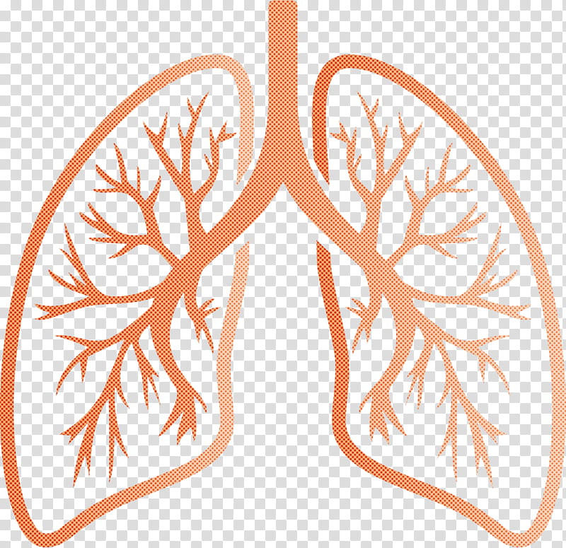 lungs COVID Corona Virus Disease, Orange, Leaf, Symmetry, Peach transparent background PNG clipart