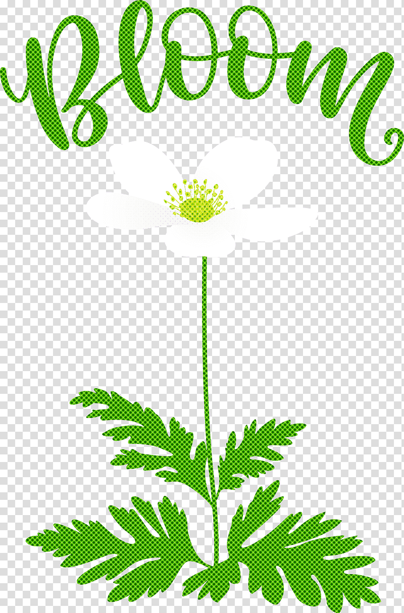 Bloom Spring Flower, Spring
, Leaf, Plant Stem, Leaf Vegetable, Text, Plants transparent background PNG clipart