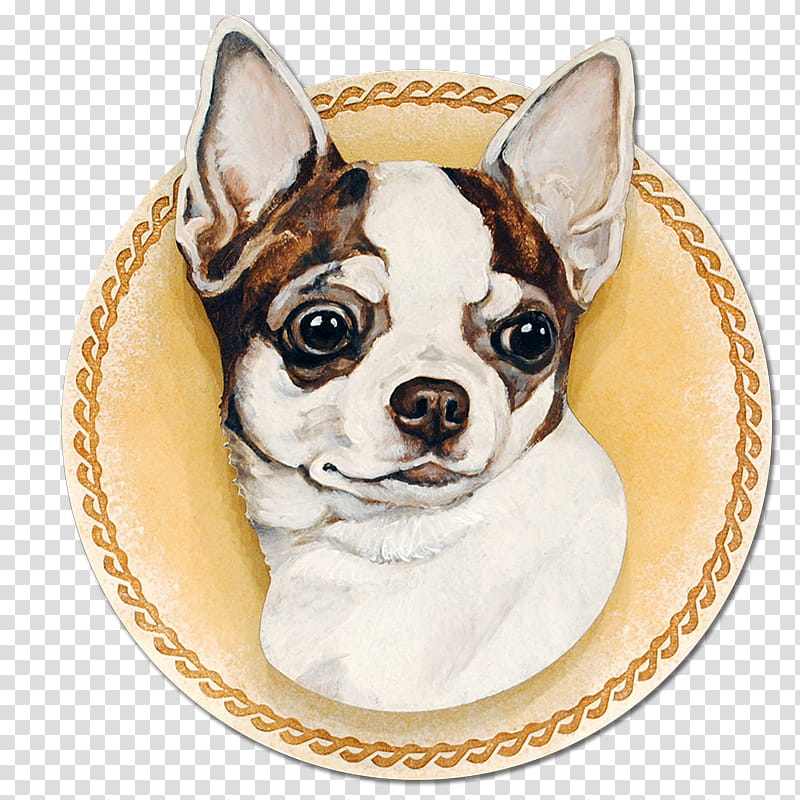 French bulldog, Boston Terrier, Chihuahua, Snout, Nonsporting Group, Companion Dog, Toy Dog, Puppy transparent background PNG clipart