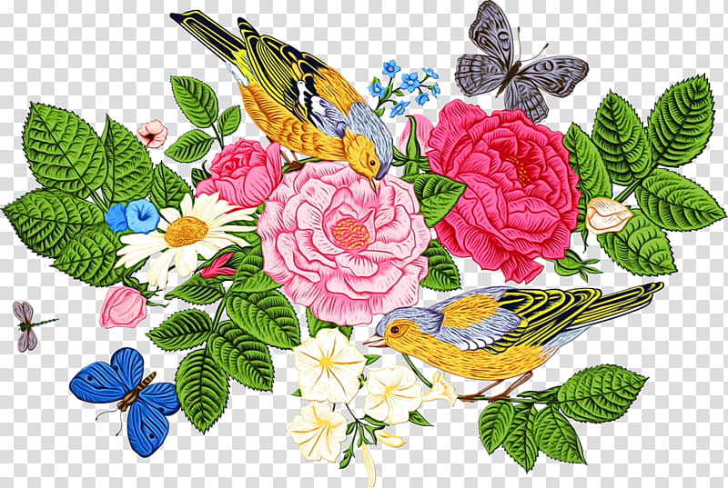 Garden roses, Watercolor, Paint, Wet Ink, Flower, Cut Flowers, Plant, Butterfly transparent background PNG clipart