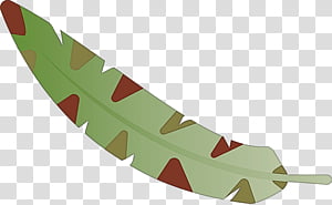 Salad, Cartoon Feather, Watercolor Feather, Vintage Feather, Leaf Vegetable, Fruit, Cabbage, Food Group transparent background PNG clipart thumbnail