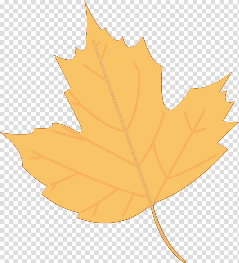 leaf maple leaf / m tree plant science, Watercolor, Paint, Wet Ink, Maple Leaf M, Biology, Plant Structure transparent background PNG clipart