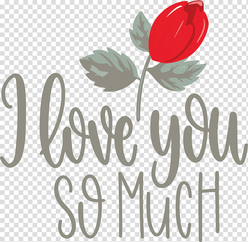 I Love You So Much Valentines Day Love, Cut Flowers, Rose Family, Floral Design, Logo, Petal, Meter transparent background PNG clipart