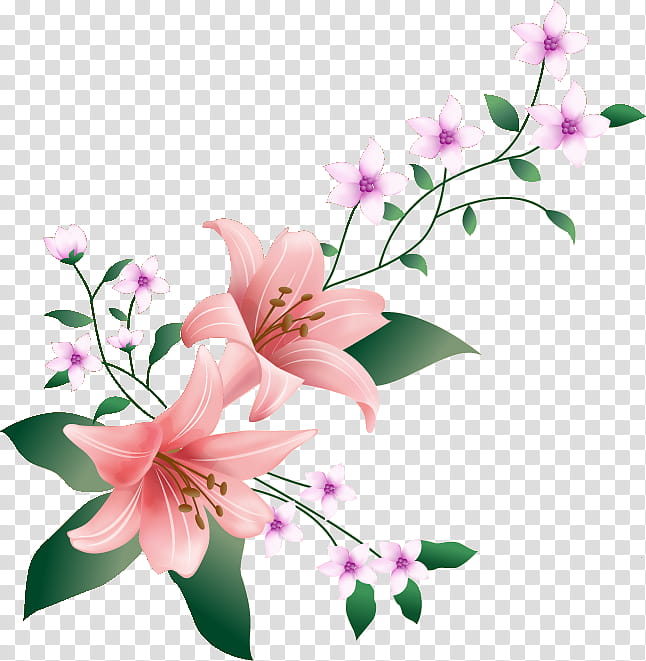 Lily Flower, Frame, Floral Design, Pink Flowers, Artificial Flower, Watercolor Painting, Arumlily transparent background PNG clipart
