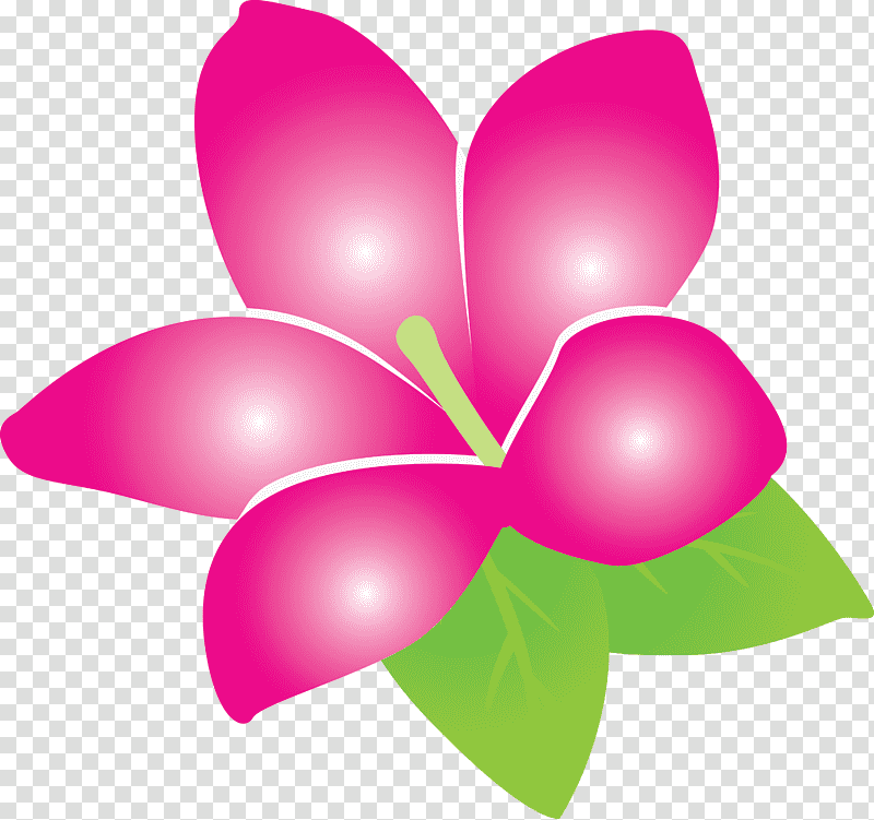 jasmine jasmine flower, Petal, Pollinator, Lilac, Pollination, Heart, M095 transparent background PNG clipart