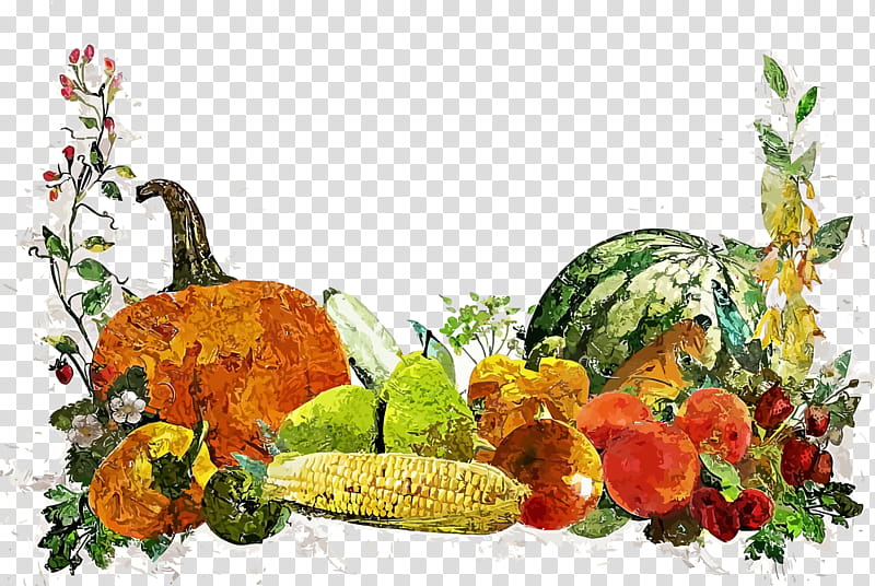 Thanksgiving harvest, Squash, Gourd, Winter Squash, Vegetable, Melon, Natural Foods, Superfood transparent background PNG clipart