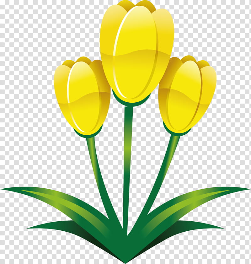 easter flower spring flower, Yellow, Tulip, Plant, Petal, Cut Flowers, Plant Stem, Closeup transparent background PNG clipart