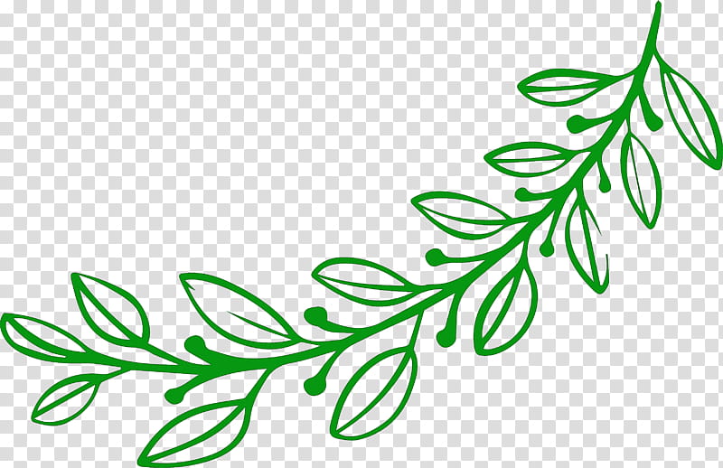 simple leaf simple leaf drawing simple leaf outline, Plant Stem, Twig, Algae, Maple Leaf, Petal, Flower, Grasses transparent background PNG clipart