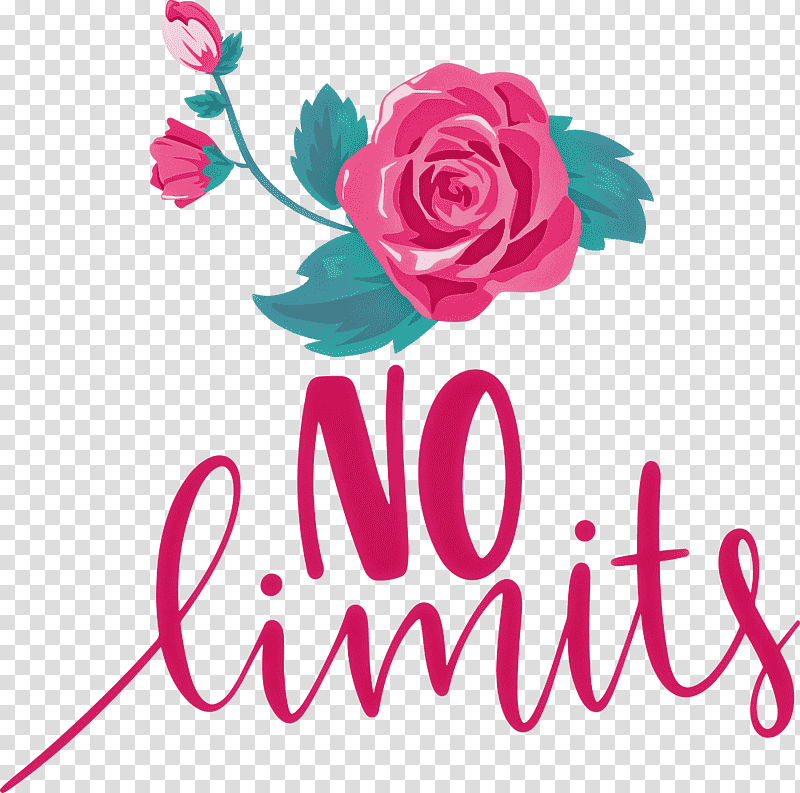 No Limits Dream Future, Hope, Garden Roses, Gratis, Cut Flowers, Floral Design, Gift transparent background PNG clipart