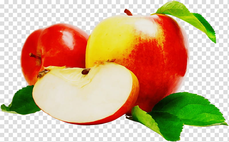 apple jam powidl fruit cooking, Watercolor, Paint, Wet Ink, Varenye, Pastila, Muesli, Paradise Apple transparent background PNG clipart