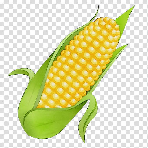 Monstera Leaf, Corn, Emoji, Corn On The Cob, Sweet Corn, Candy Corn, Corn Kernel, Food transparent background PNG clipart