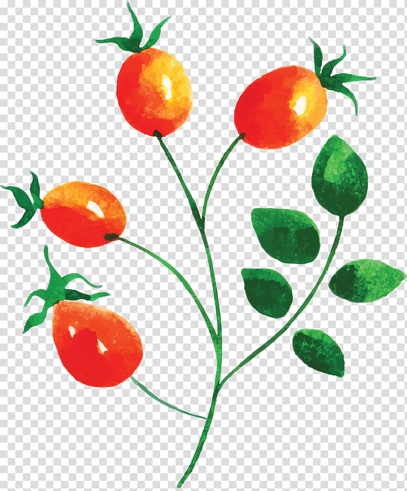 Autumn Leaf Autumn Color, Tomato, Natural Foods, Strawberry, Local Food, Apple, Cherry transparent background PNG clipart