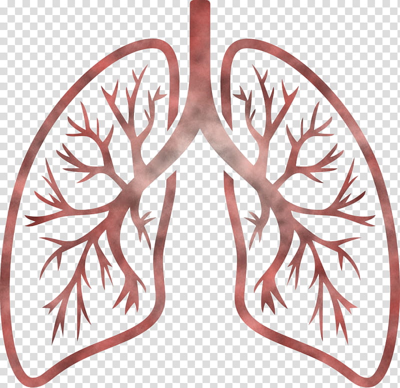 lungs COVID Corona Virus Disease, Leaf, Tree, Ornament, Branch, Footwear, Plant, Symmetry transparent background PNG clipart