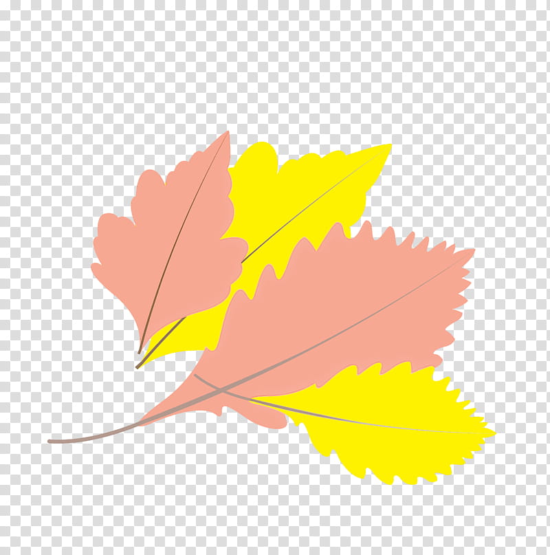 Maple leaf, Autumn Leaf, Fall Leaf, Cartoon Leaf, Plant Stem, Tree, Red Maple, Oak transparent background PNG clipart