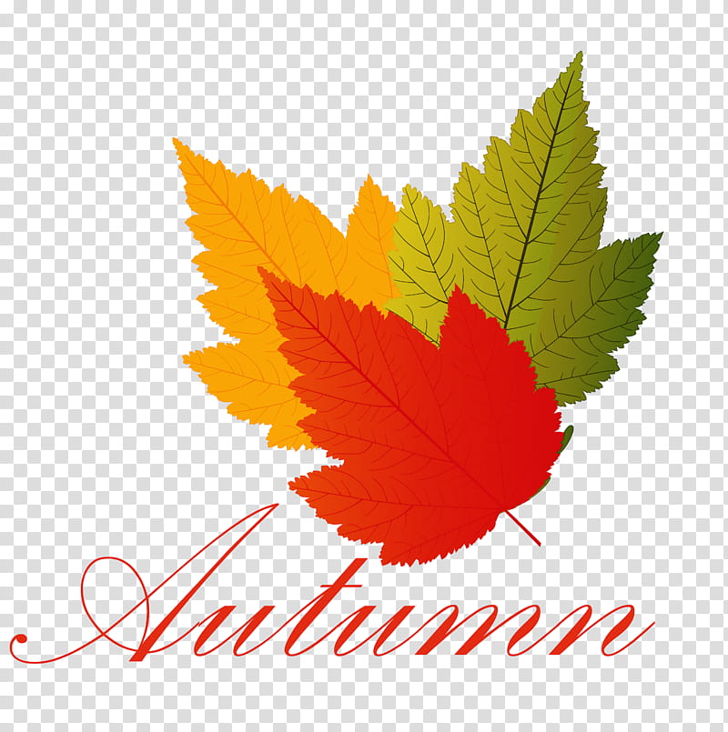 Hello Autumn Welcome Autumn Hello Fall, Welcome Fall, Logo, Cartoon, Drawing, Creative Work, Text, Youtube transparent background PNG clipart