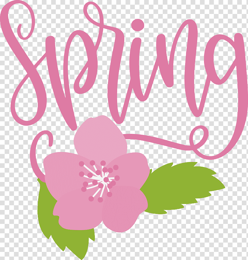 spring, Spring
, Flower, Floral Design, Petal, Plant Stem, Spring transparent background PNG clipart