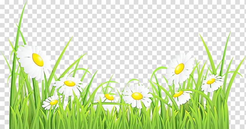 nature grass meadow natural environment plant, Watercolor, Paint, Wet Ink, Spring
, Grass Family, Flower, Lawn transparent background PNG clipart