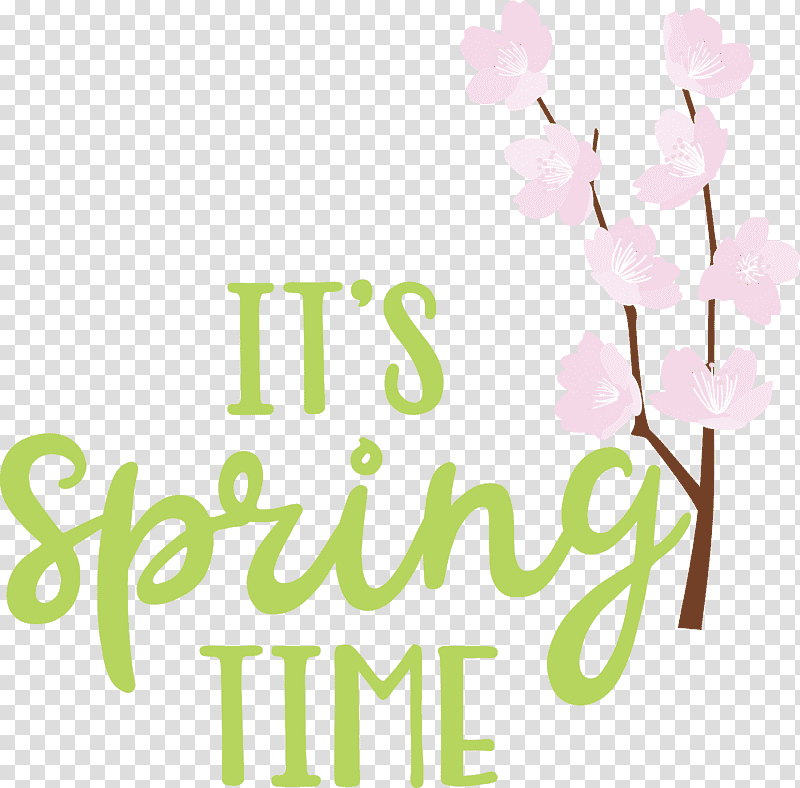 Spring Time Spring, Spring
, Floral Design, Cut Flowers, Petal, Meter, Line transparent background PNG clipart