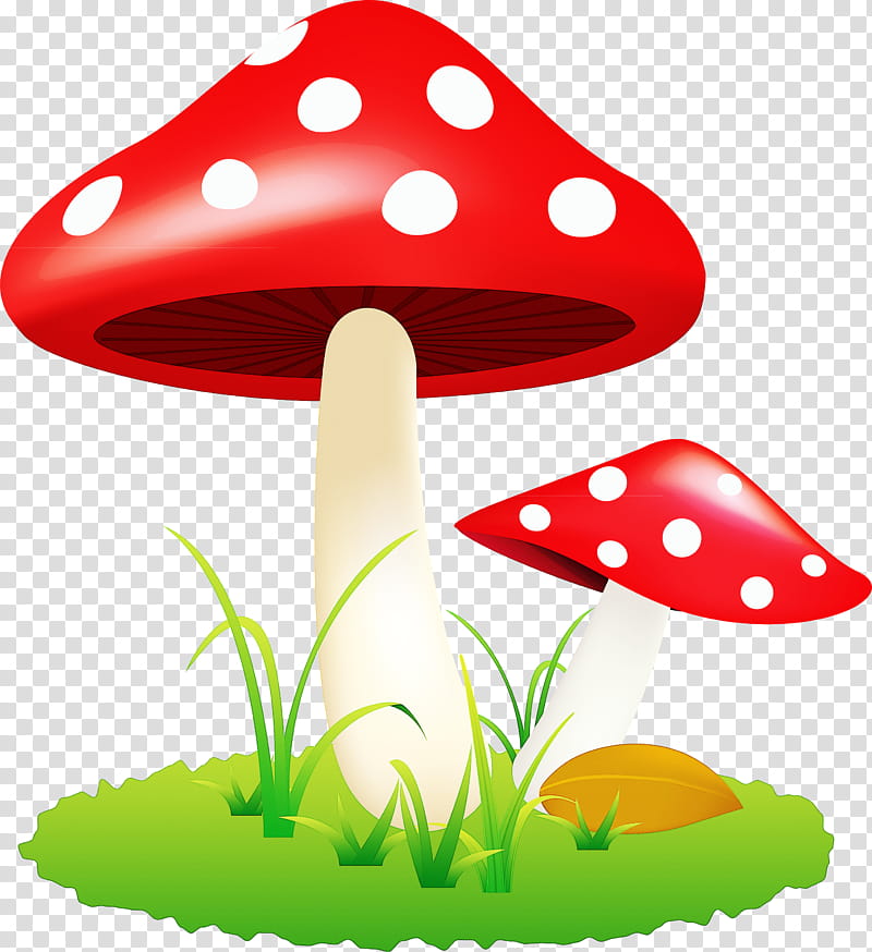 mushroom, Agaric, Fungus transparent background PNG clipart