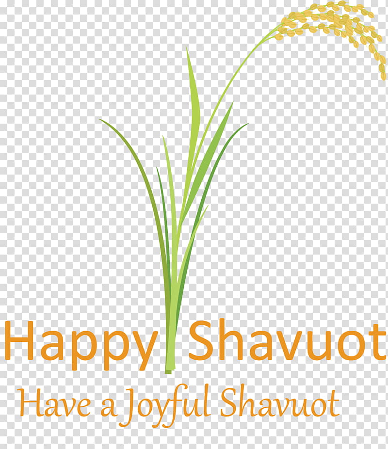 Happy Shavuot Shavuot Shovuos, Grass, Plant, Text, Grass Family, Leaf, Logo, Plant Stem transparent background PNG clipart