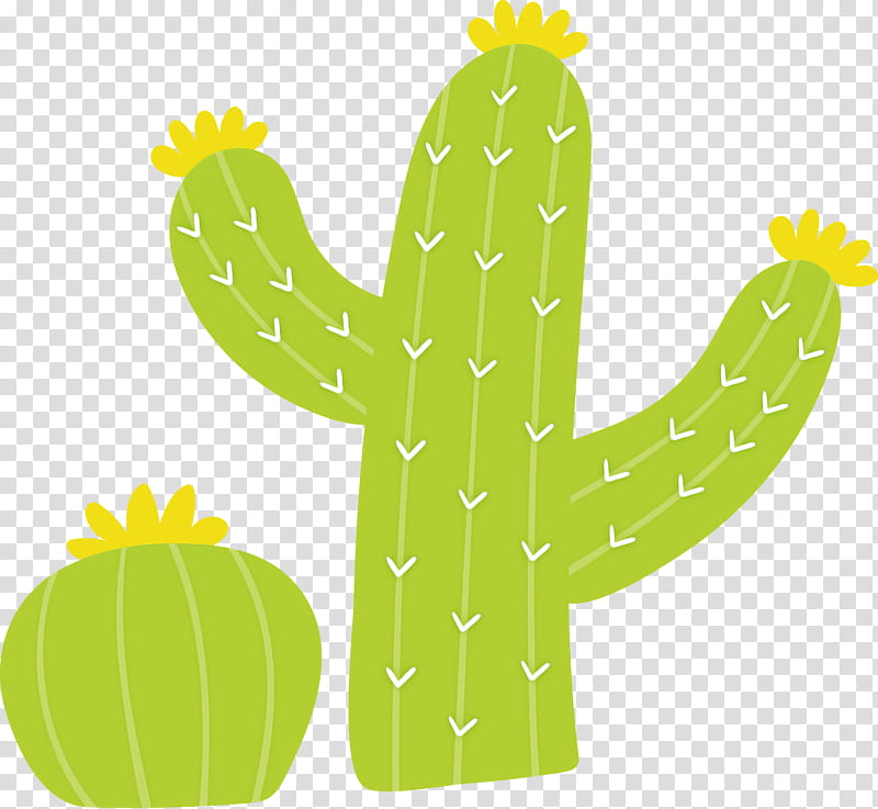 Mexico elements, Cactus, Bunny Ears Cactus, Barbary Fig, Plant Stem, Succulent Plant, Plants, Prickly Pear transparent background PNG clipart