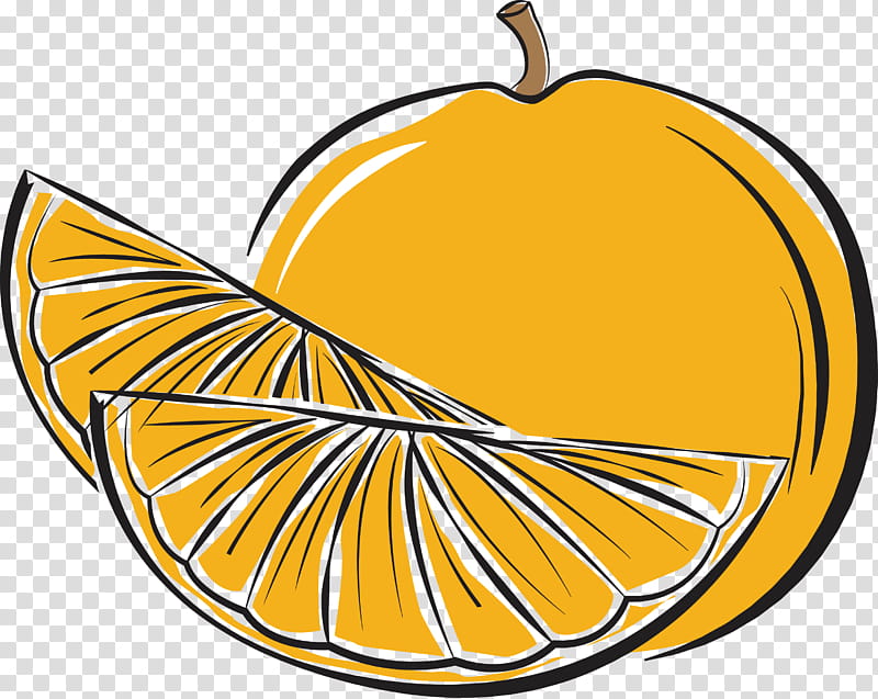 Pumpkin, Squash, Yellow, Commodity, Apple, Line, Meter transparent background PNG clipart