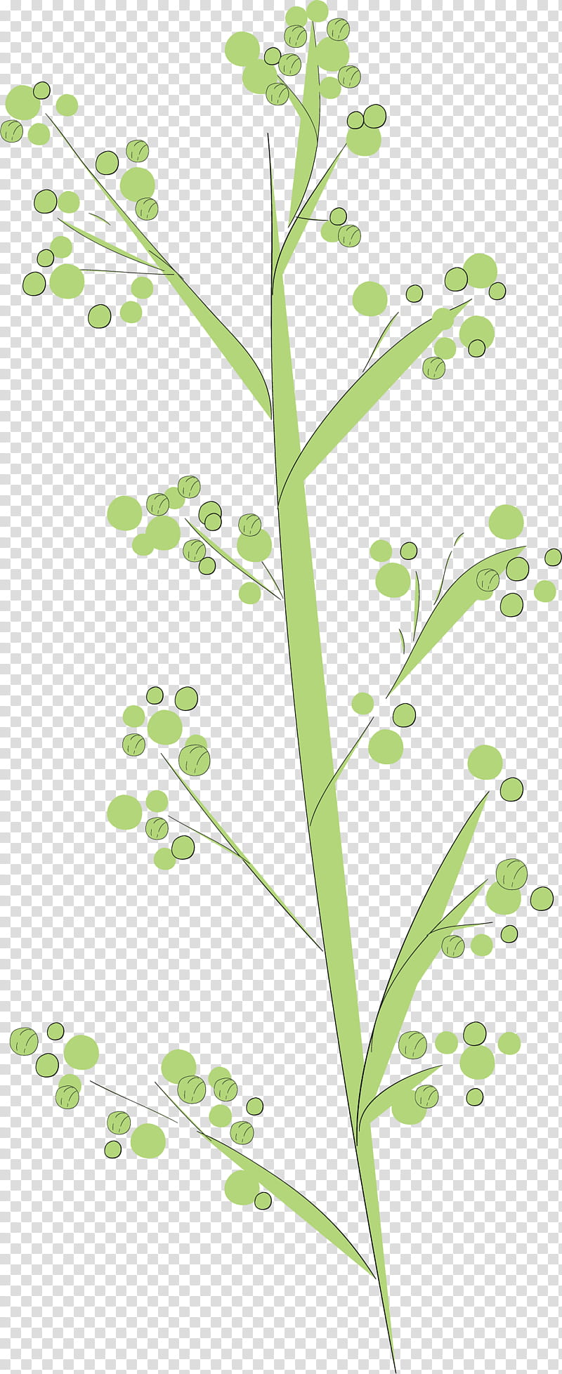 simple leaf simple leaf drawing simple leaf outline, Twig, Plant Stem, Grasses, Flower, Herb, Meter, Plants transparent background PNG clipart