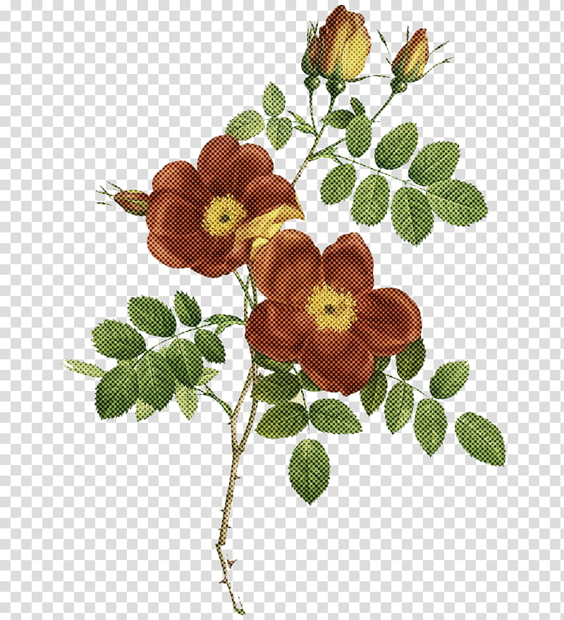 Floral design, On Line Exhibition, Creativity, Creative Work transparent background PNG clipart