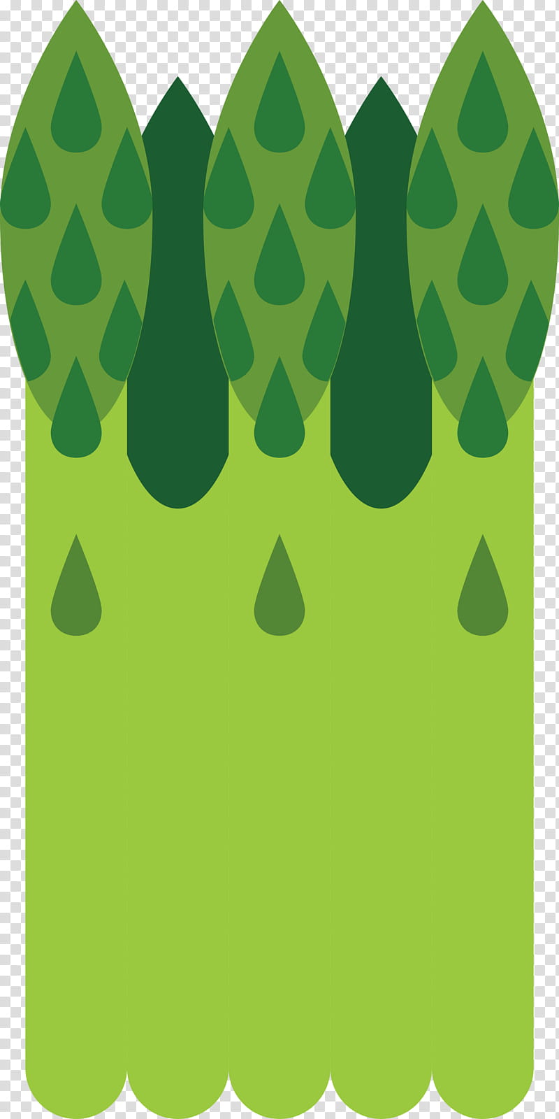 Asparagus, Green, Yellow, Grass, Tree, Plant, Polka Dot transparent background PNG clipart